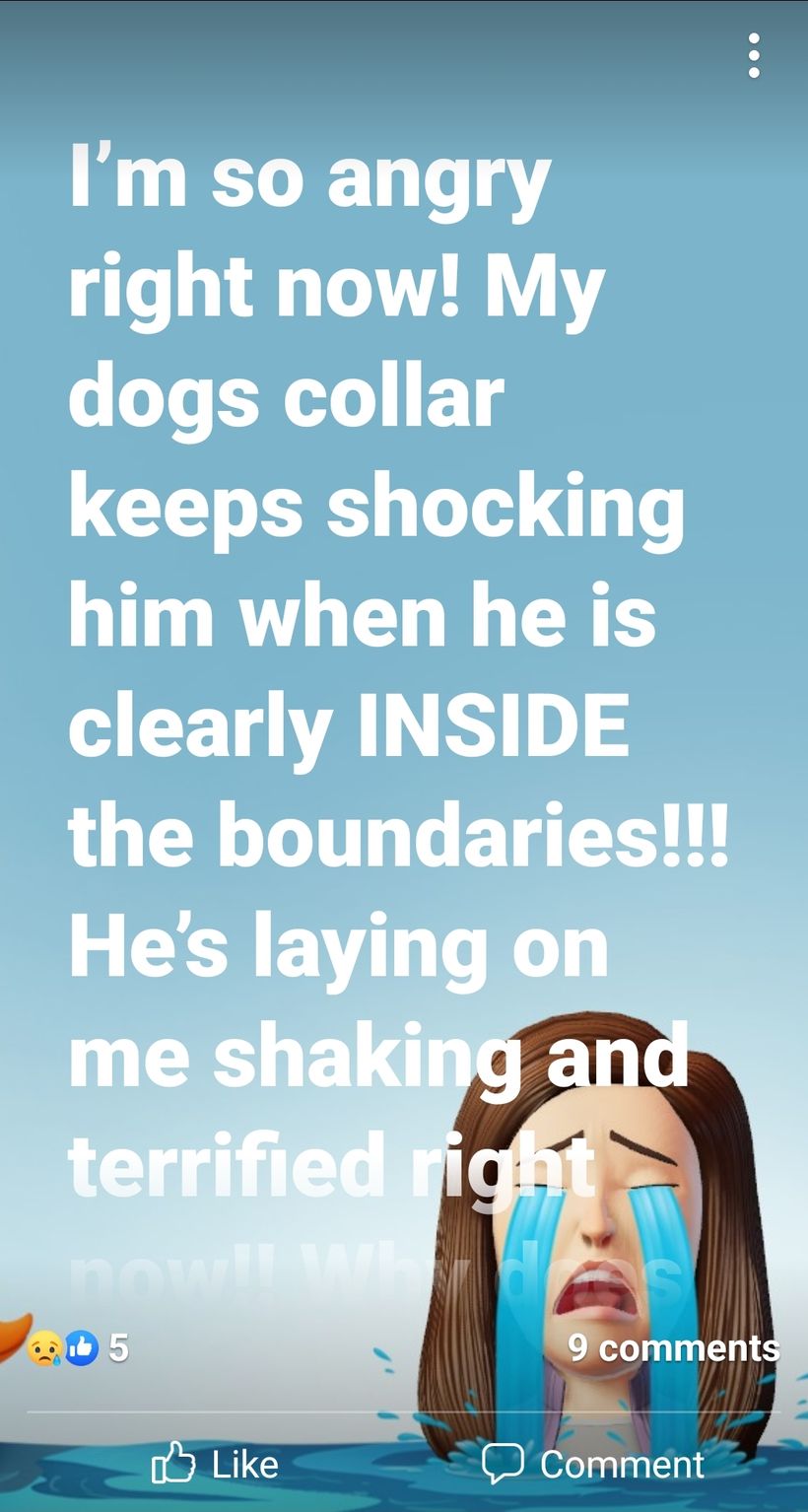 GPS collar owner describing repeated static corrections while the dog was inside a marked safe zone